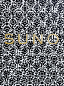 CAMERONKRONE ELLE SUNO