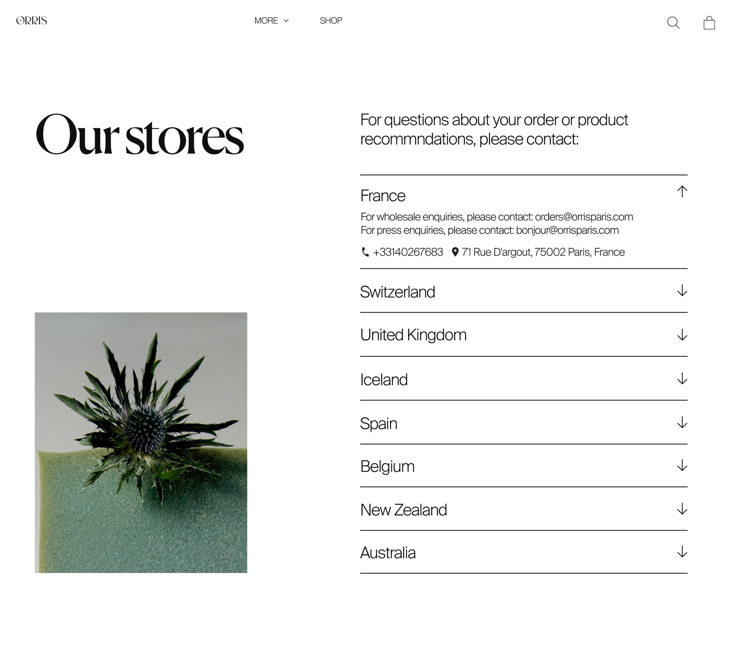 Website stores page with thistle on green floral foam beside a list of countries, for Orris.